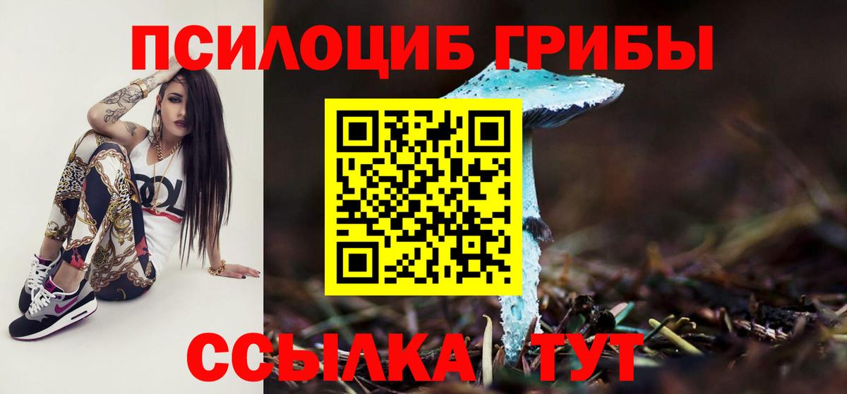 Рыбинск  Псилоцибиновые грибы мухоморы  закладки  Вход с VPN 