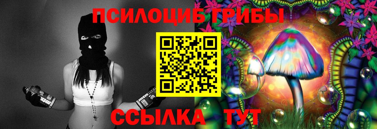 Псилоцибиновые грибы GOLDEN TEACHER Рыбинск